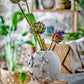 Abira Vase