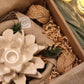 Phyllis Gift Box