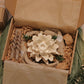 Phyllis Gift Box